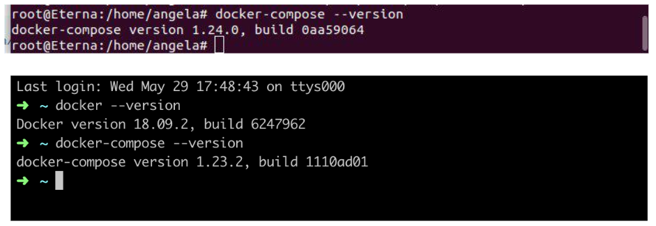 ../_images/docker_check_linuxMac.png